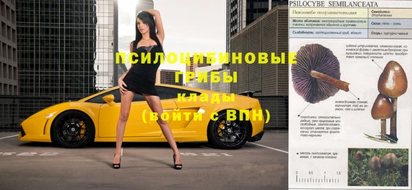 каннабис Арсеньев