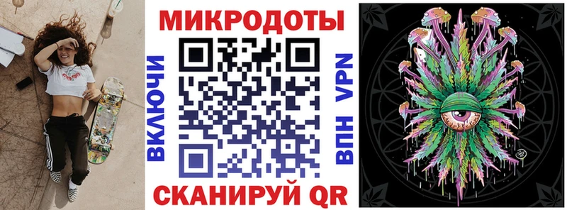 Купить  Мураши  Галлюциногенные грибы Cubensis 