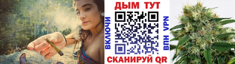 Шишки марихуана планчик  Купить  Мураши 